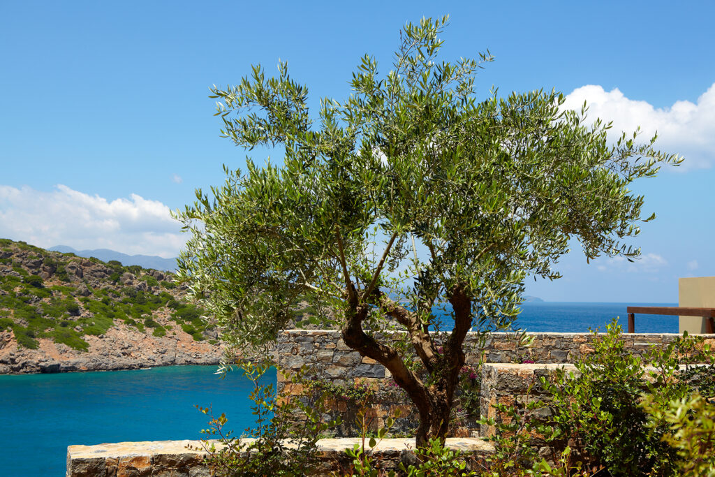 Daios-Cove-Luxury-Resort-and-Villas-Vathi-Crète-Grèce-8