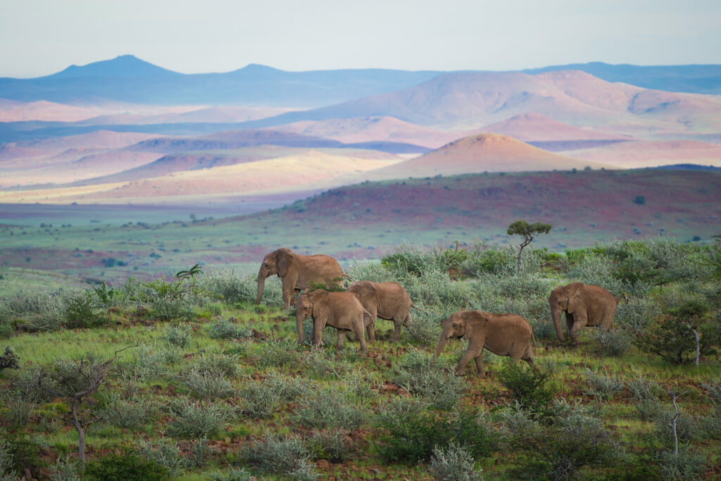 damaraland-camp-wilderness-safaris-Namibie-11