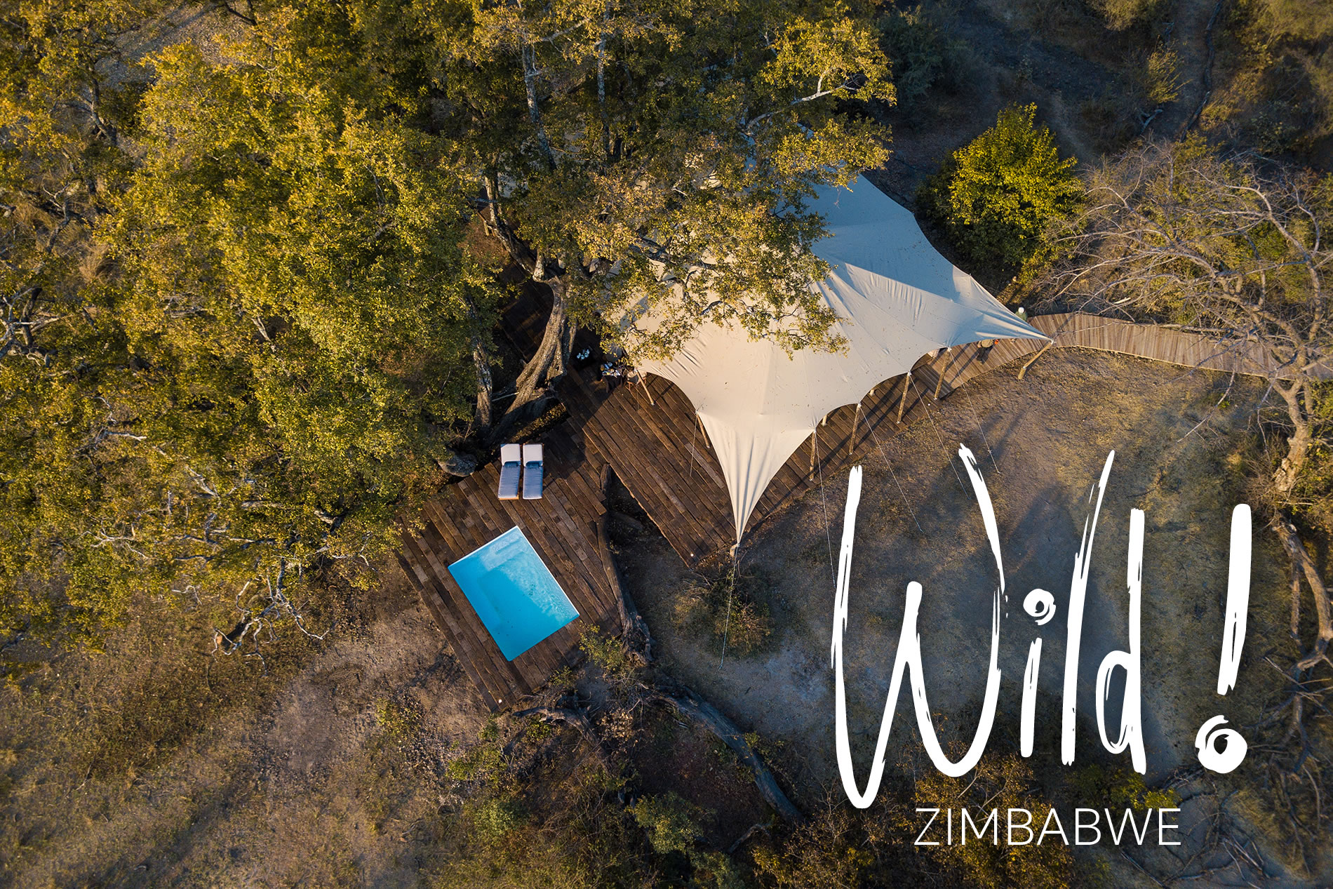 Zimbabwe - Wild ! -