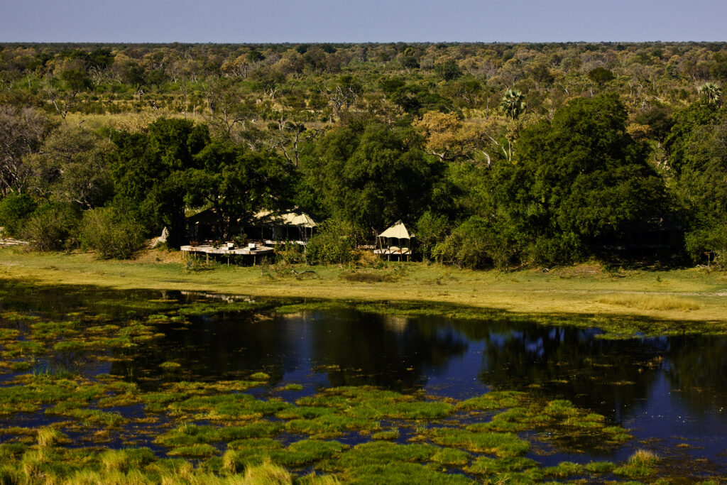 zarafa-camp-safari-dans-la-reserve-privee-de-selinda-au-botswana-7